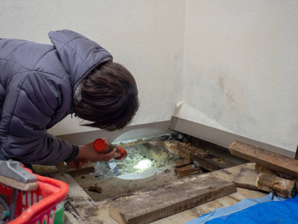 Best Comprehensive Air Testing for Mold Contaminants  in Elberton, GA
