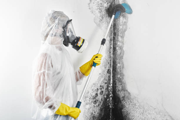 Best Asbestos and Lead Testing During Mold Inspection  in Elberton, GA