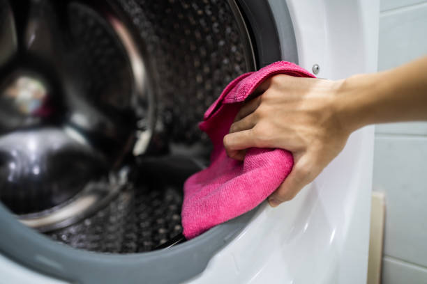 Best Mold Prevention Services  in Elberton, GA