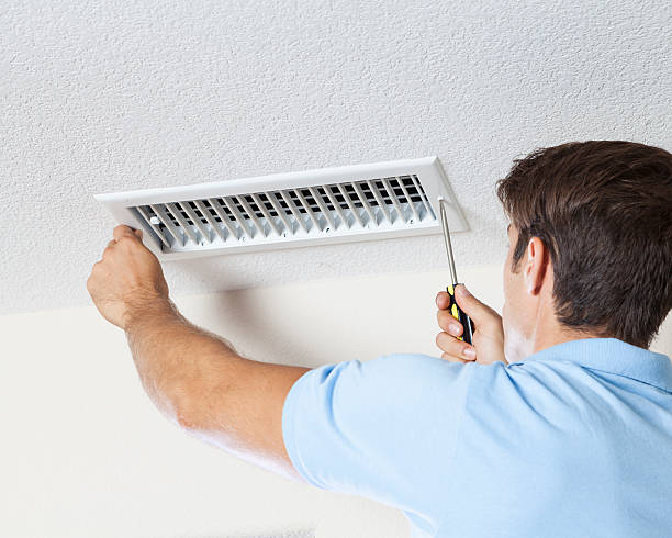 Best Mold Odor Removal Services  in Elberton, GA
