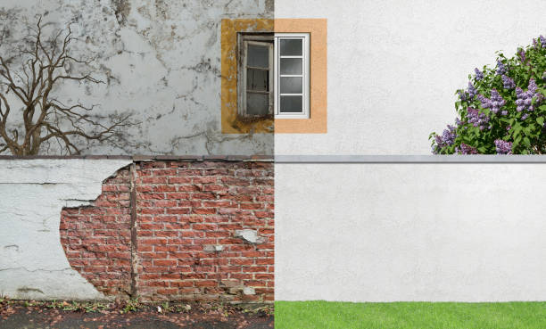 Best Mold Remediation for Healthcare Facilities  in Elberton, GA
