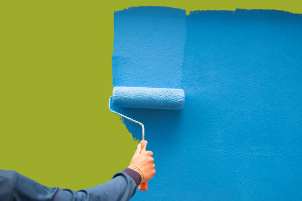 Best Attic Mold Removal  in Elberton, GA
